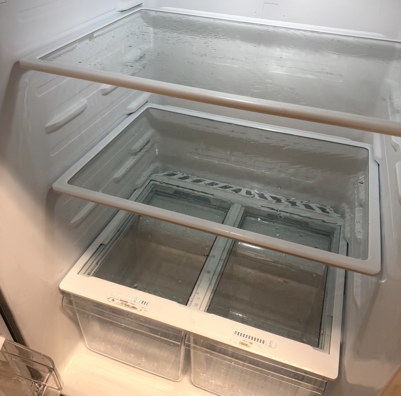 After — Refrigerator Interior Detail